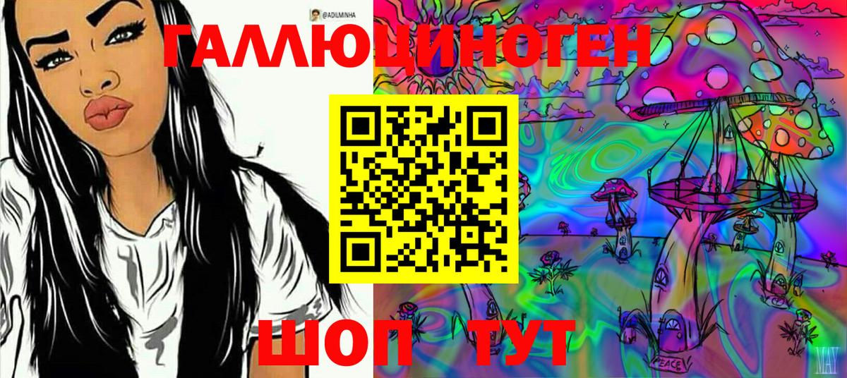 Дмитров  Псилоцибиновые грибы GOLDEN TEACHER  что такое наркотик  Вход с VPN  Галлюциногенные грибы Psilocybine cubensis 